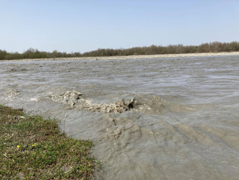 განცხადება, ენგური